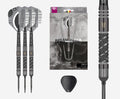 Dimitri Van Den Bergh x Echo SP Darts Set Box Contents - Main Image