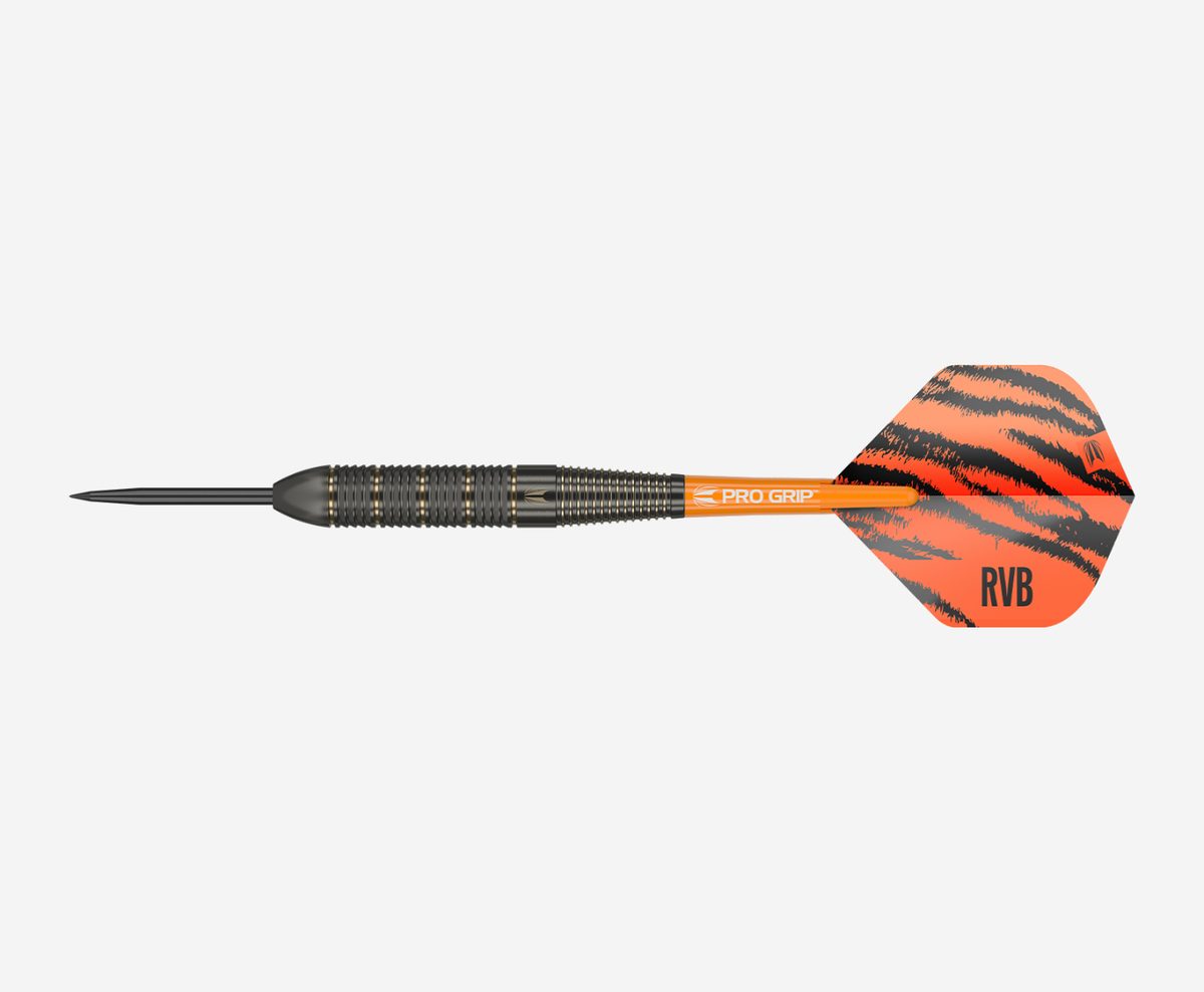 Raymond van Barneveld RVB Brass Steel Tip Darts - Side View
