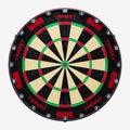 Target TOR EVO dartboard front view