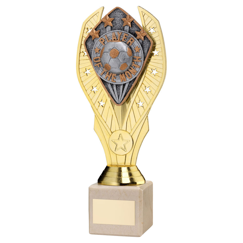 Gold Holder + Player Of The Month Disc & Cream Marble Trophy (1in Cen)