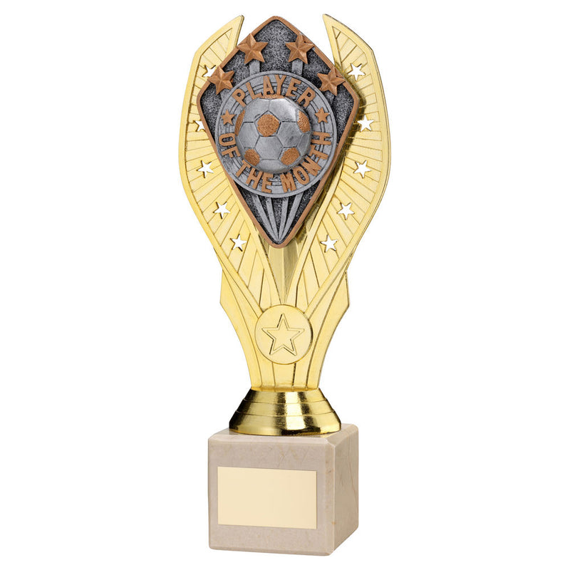 Gold Holder with Player Of The Month Disc & Cream Marble Trophy (1in Centre)