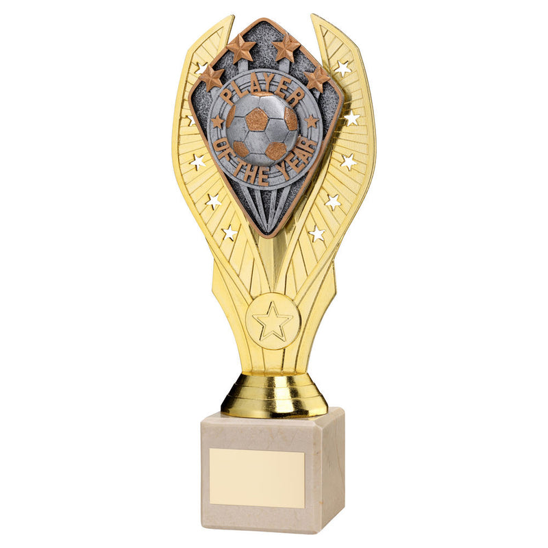 Gold Holder with Player Of The Year Disc & Cream Marble Trophy (1in Centre)