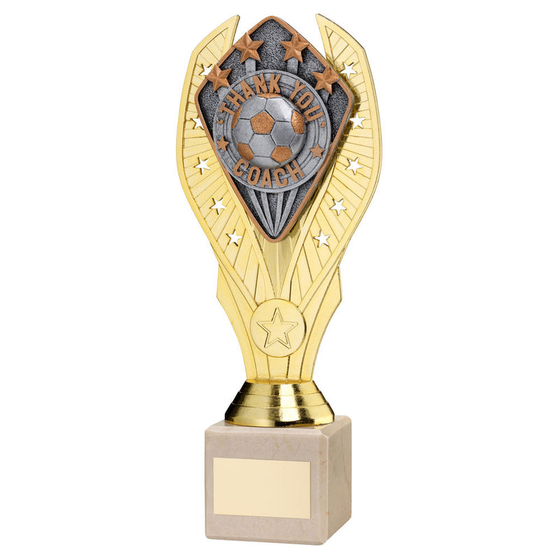 Gold Holder with Thank You Coach Disc & Cream Marble Trophy (1in Centre)