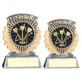 Five Star Darts Award — Pewter & Gold