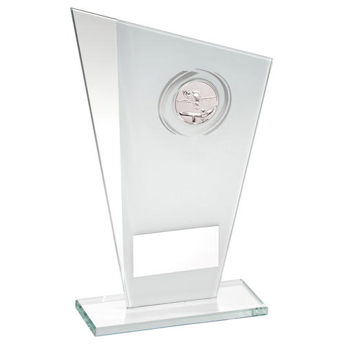 White & silver Printed Glass Plaque With Pool & snooker Insert With Plate