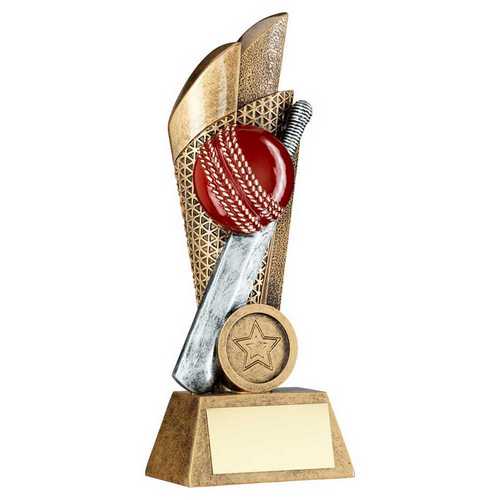 Bronze & Pewter & gold Cricket Ball And Bat On Mesh Backdrop With Plate (1in Centre)